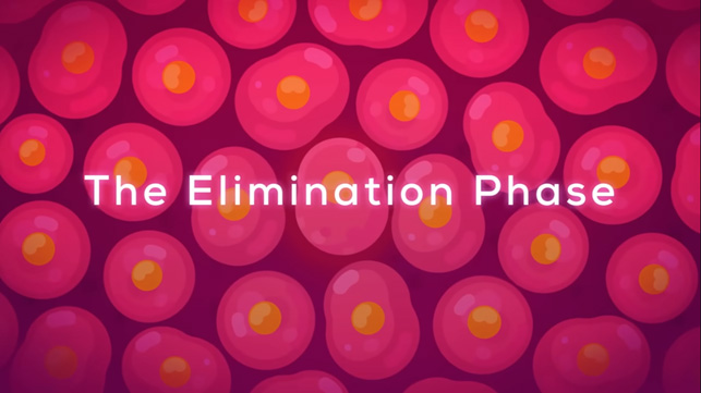 The-Elimination-Phase